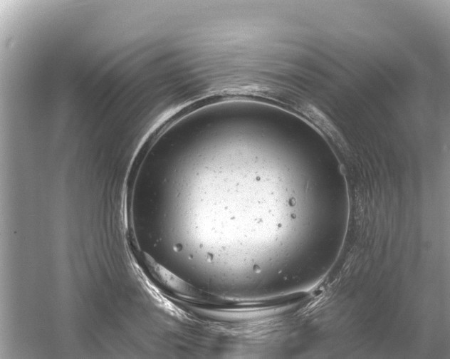 X0000061121036200511210955