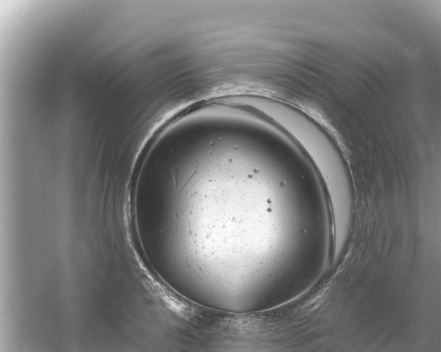 X0000061121040200511210955