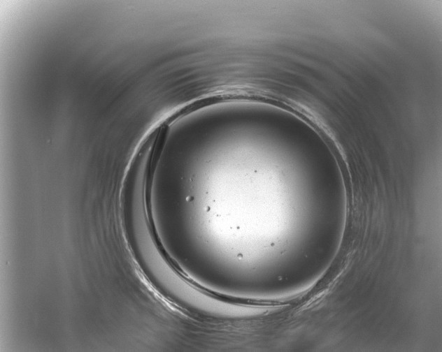 X0000061121045200511210955