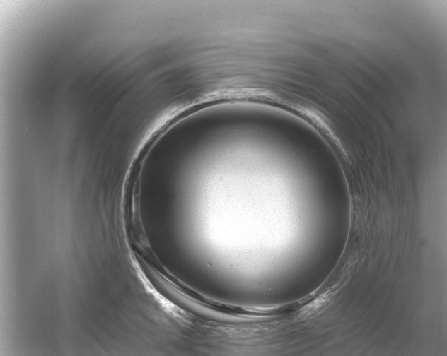 X0000061121046200511210955