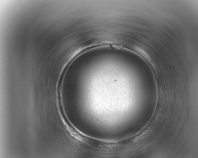 X0000061121047200511210955