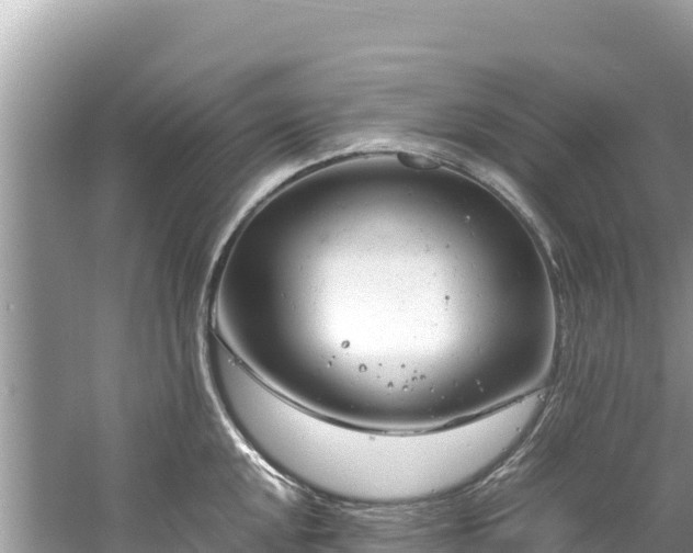 X0000061121048200511210955