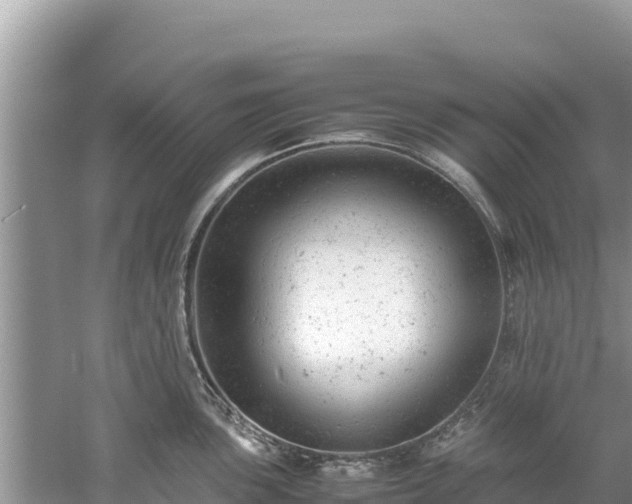 X0000061121051200511210955