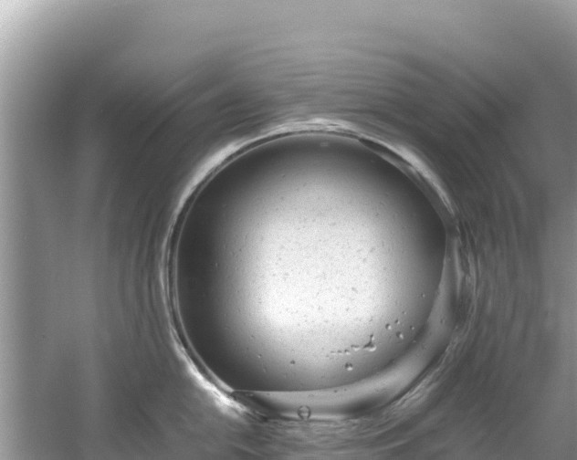 X0000061121054200511210955