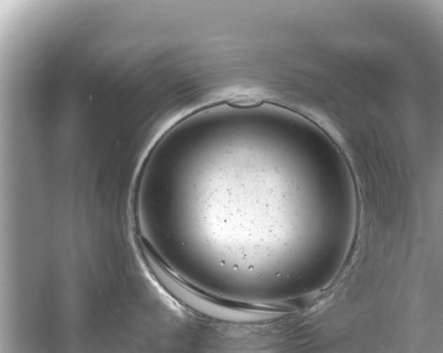 X0000061121056200511210955