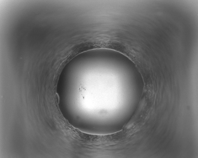 X0000061121057200511210955