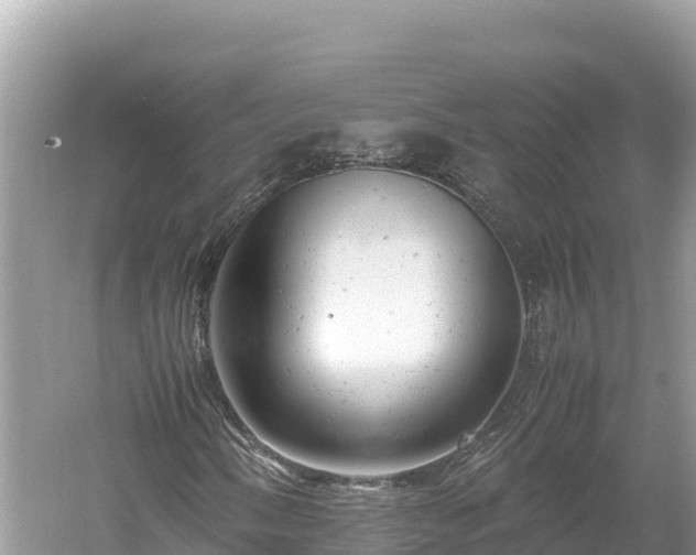 X0000061121058200511210955