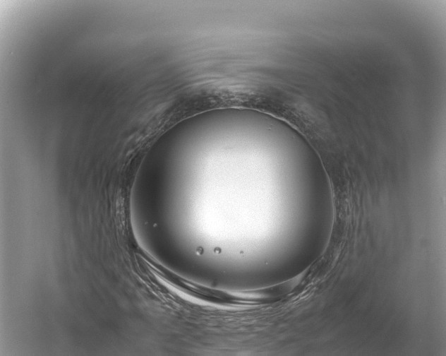 X0000061121061200511210955