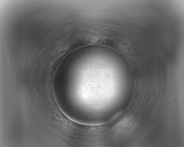 X0000061121105200511210953