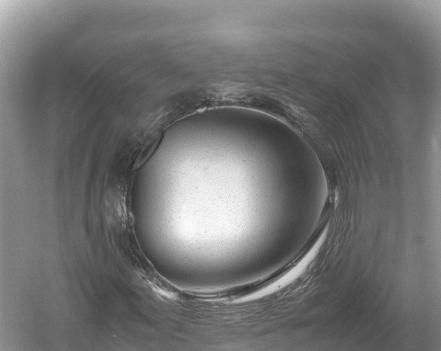 X0000061121155200511210953