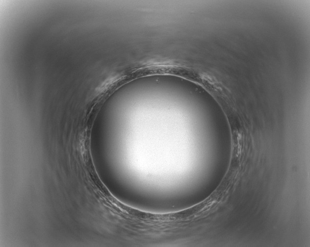 X0000061121157200511210953