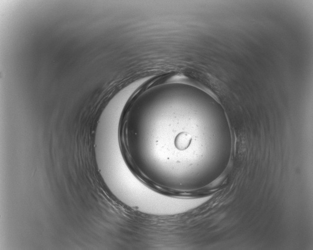 X0000061121202200511210951