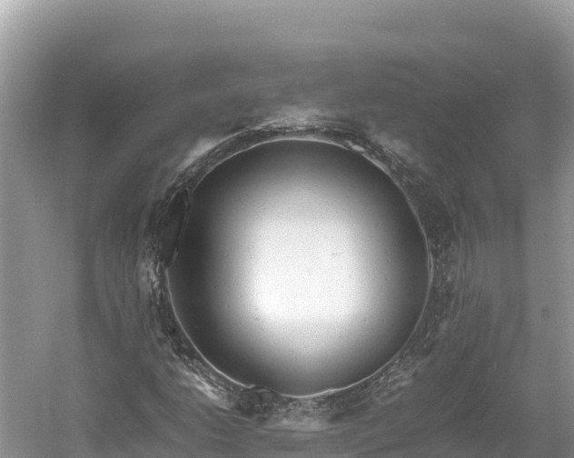 X0000061121206200511210951