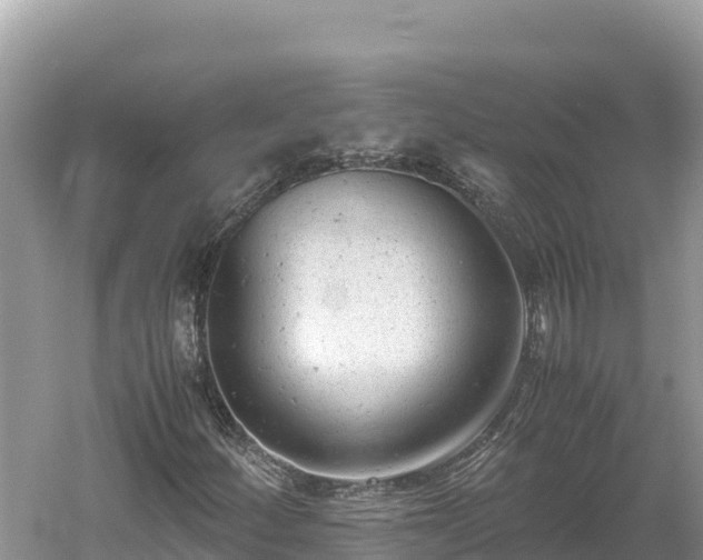 X0000061121252200511210951