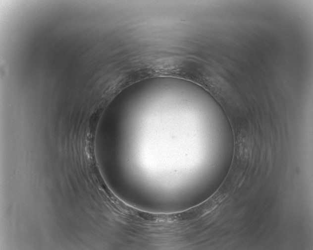 X0000061121346200511210950