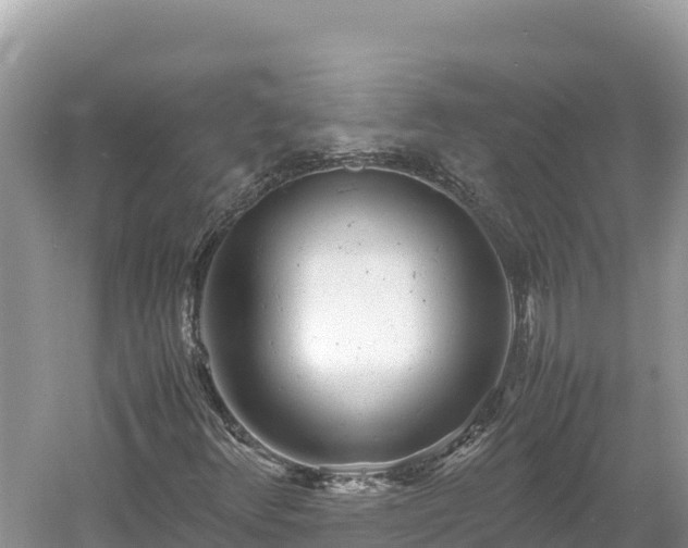 X0000061121348200511210950