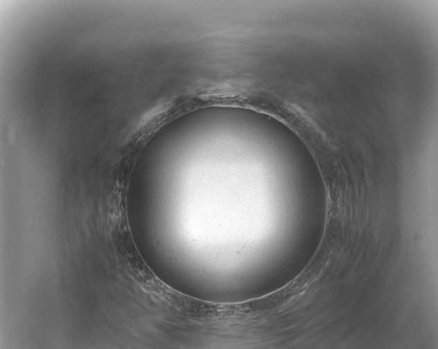 X0000061121350200511210949