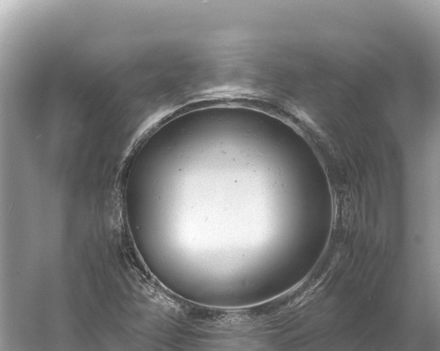 X0000061121358200511210949