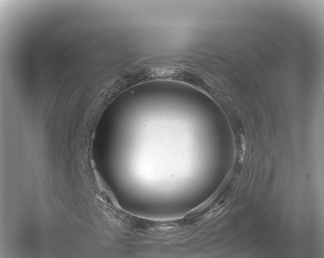 X0000061121441200511210948