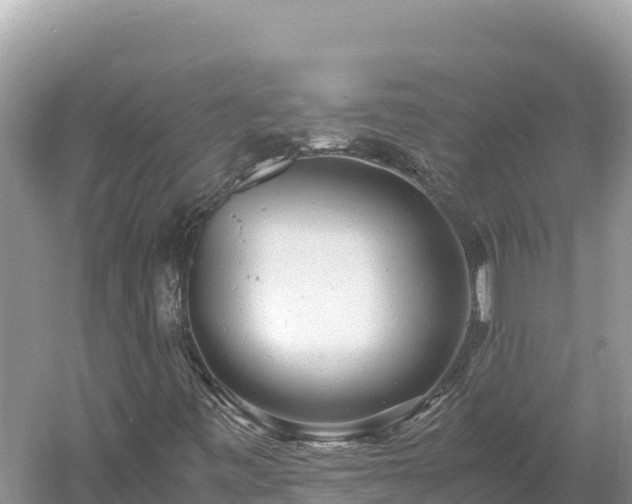 X0000061121443200511210948