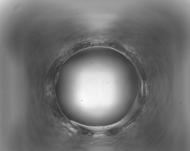X0000061121445200511210948