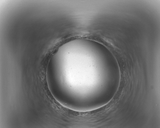 X0000061121447200511210948