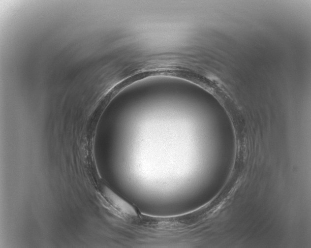 X0000061121449200511210948
