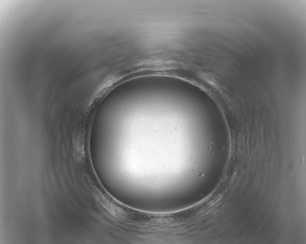X0000061121451200511210948