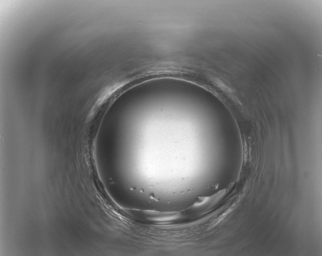X0000061121453200511210948