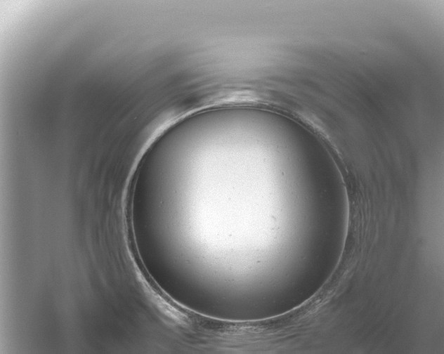 X0000061121475200511210947