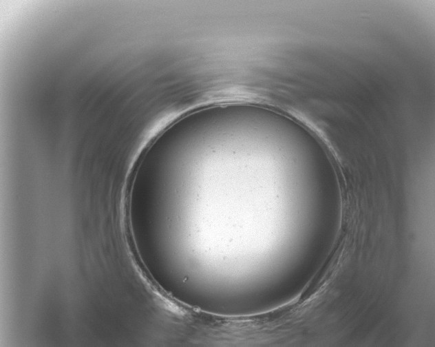 X0000061121477200511210947