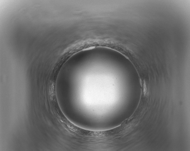 X0000061121492200511210946