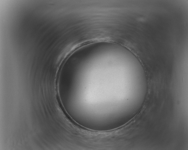 X0000061120002200511241722