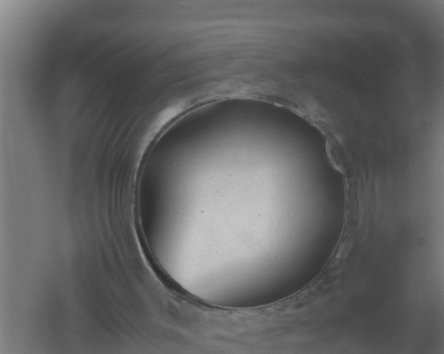 X0000061120003200511241722