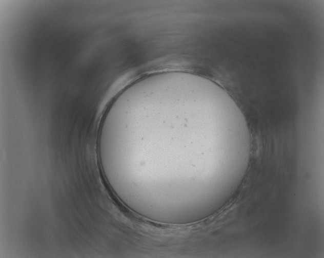 X0000061120004200511241722