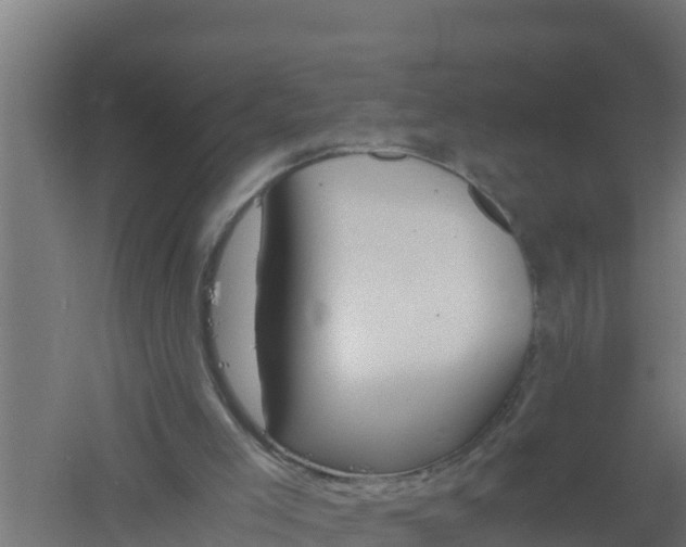 X0000061120005200511241722