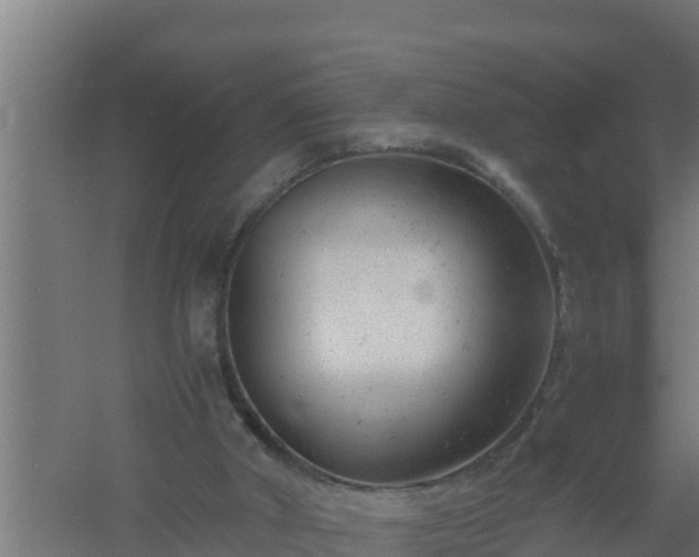 X0000061120010200511241722