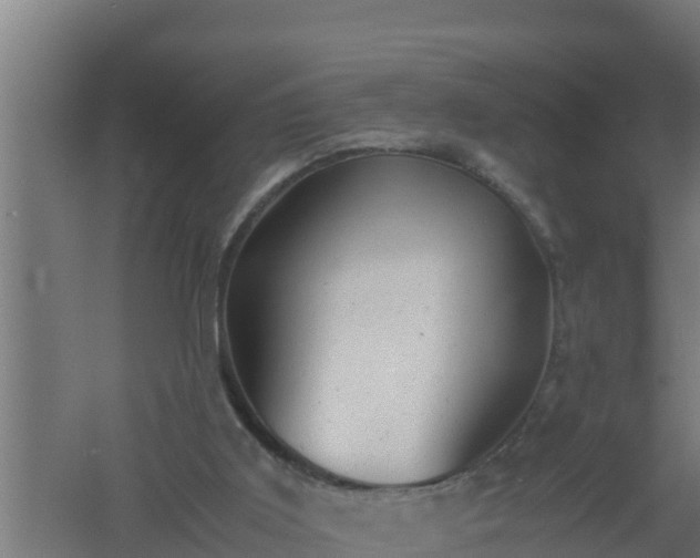 X0000061120011200511241722