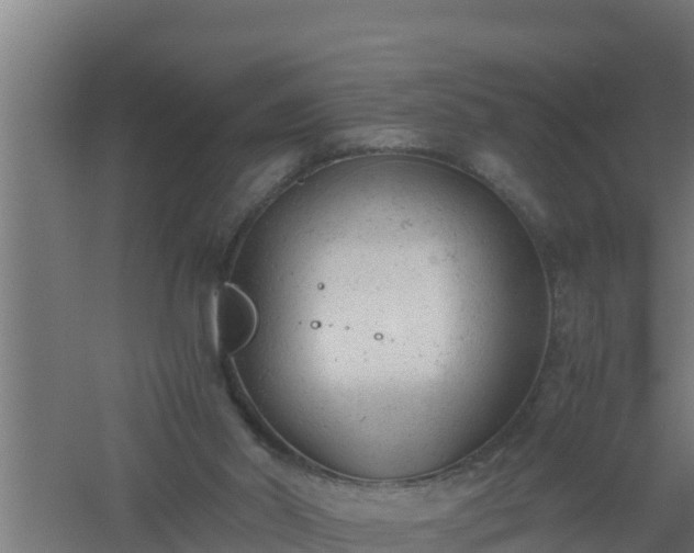 X0000061120014200511241722