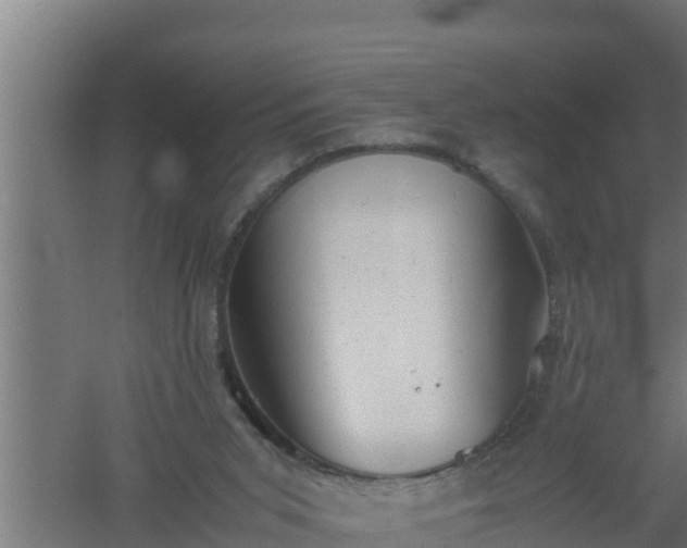 X0000061120015200511241722