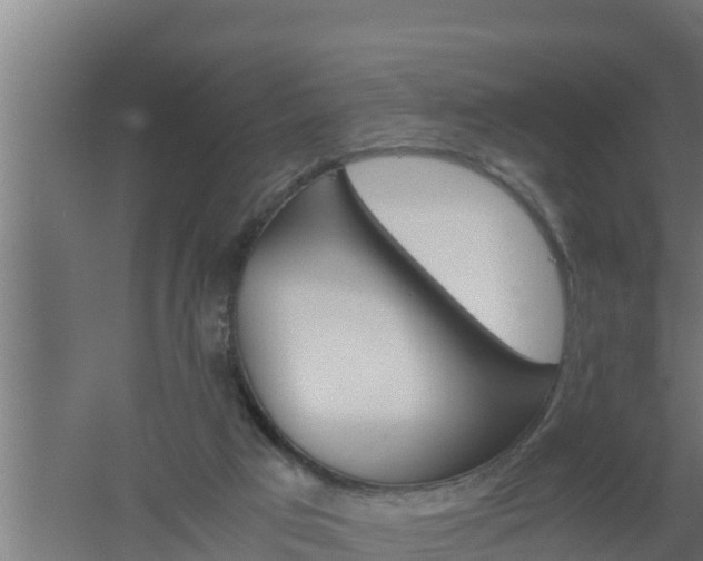 X0000061120017200511241722