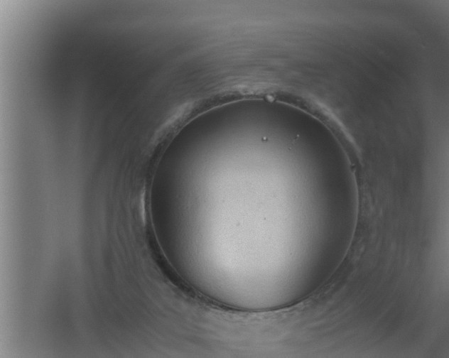 X0000061120019200511241722