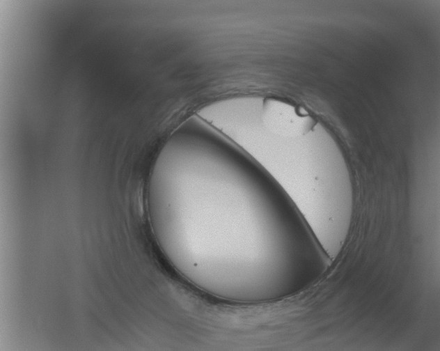 X0000061120021200511241722