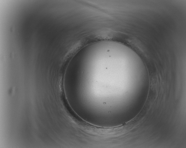 X0000061120023200511241722