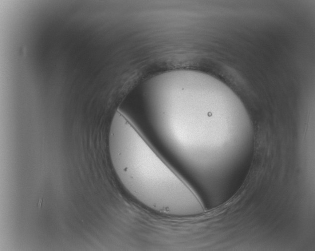 X0000061120025200511241722