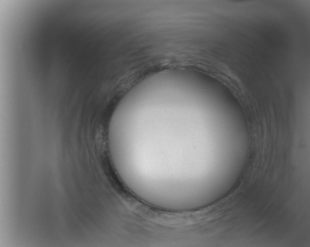 X0000061120029200511241722