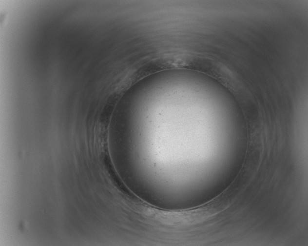 X0000061120030200511241722