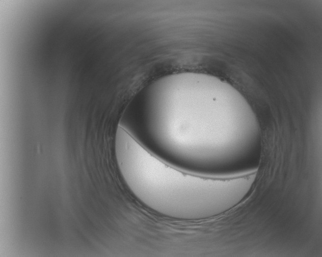 X0000061120033200511241722