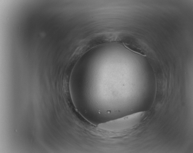 X0000061120035200511241722