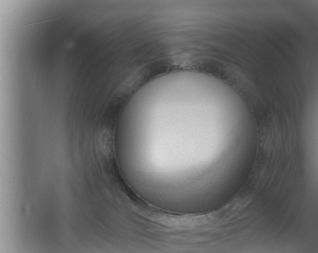 X0000061120036200511241722